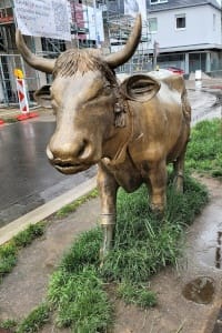 Bronzestatue Kuh Vera 2023 von Jovita Majewski