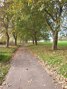 Rheinpromenade