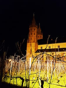 Liebfrauenkirche in Worms mit Weingarten Liebfrauenmilch