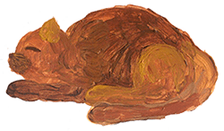 Sonnengedicht, schlafende Katze