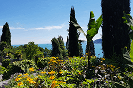 Garten mit Bodensee auf der Insel Mainau