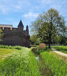 Burg Doornenburg