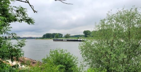 Blick auf den Rhein vom Landschaftspark Rheinbogen bei Monheim