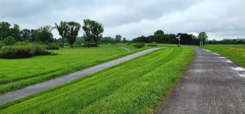 Wege entlang des Rheins bei Monheim
